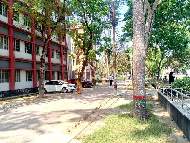 20250417_101722.jpg