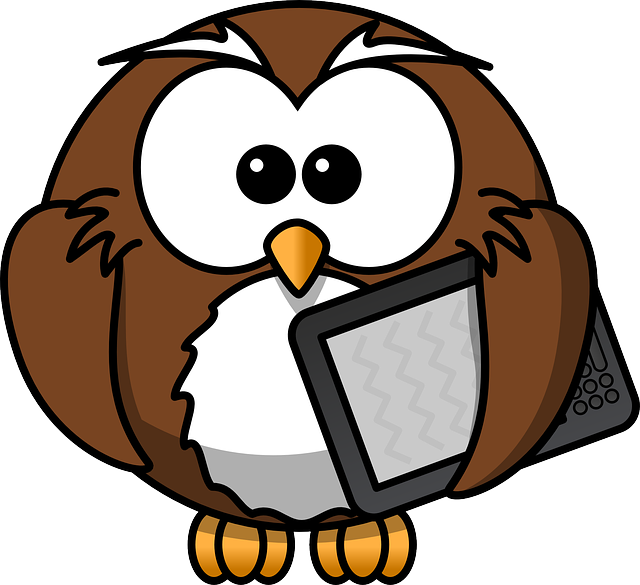 owl-158411_640.png