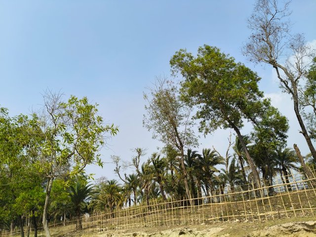 1000077288.jpg