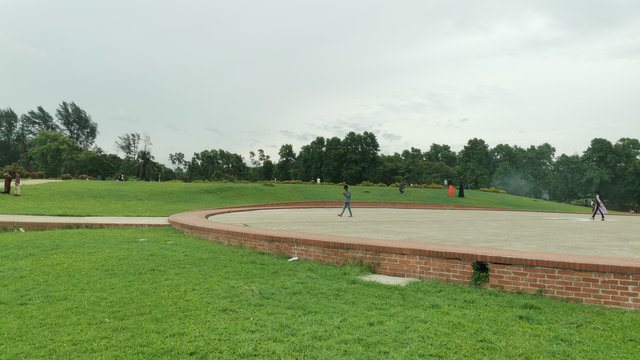 IMG_20240526_165052.jpg