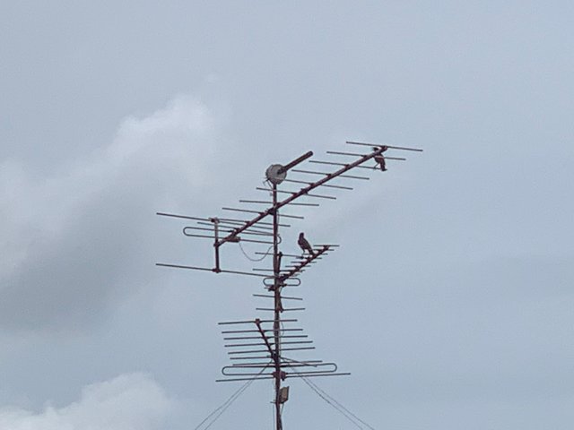 sky5.jpg
