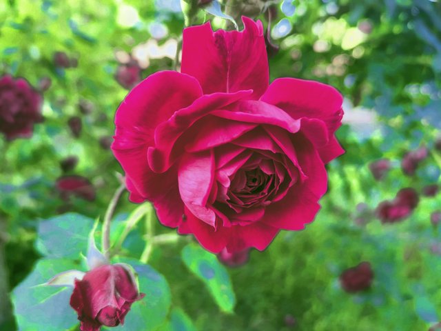 IMG_20230407_205657.jpg