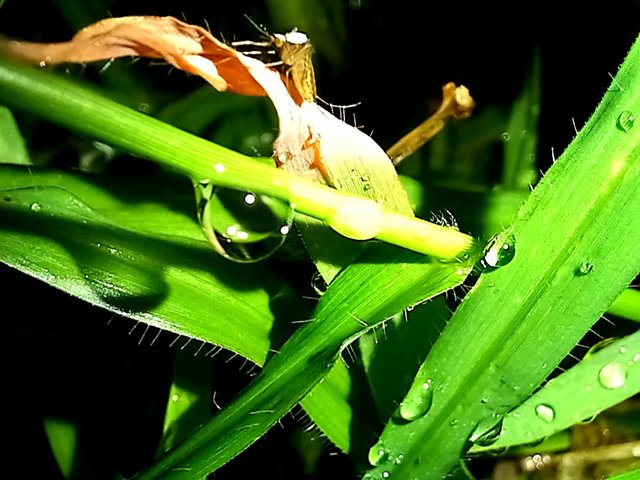 20250616_205711.jpg