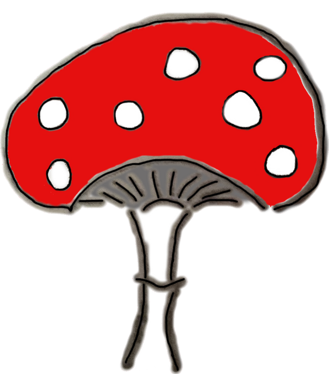 AmanitaMuscaria.png