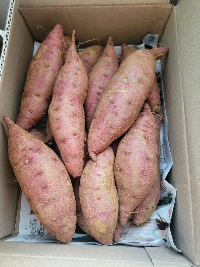 1000020416.jpg