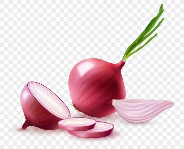 realistic-red-onion-composition-with-fresh-slices-unpeeled-bulb-with-green-sprouts-transparent-background-vector-illustration_1284-74941.jpg