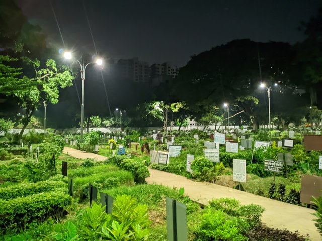 1000058121.jpg