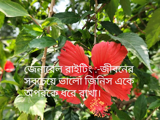 IMG_20250912_224756.jpg
