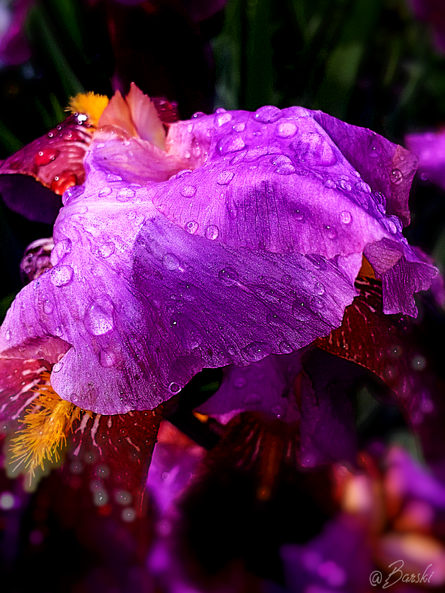 20190525_172619.png
