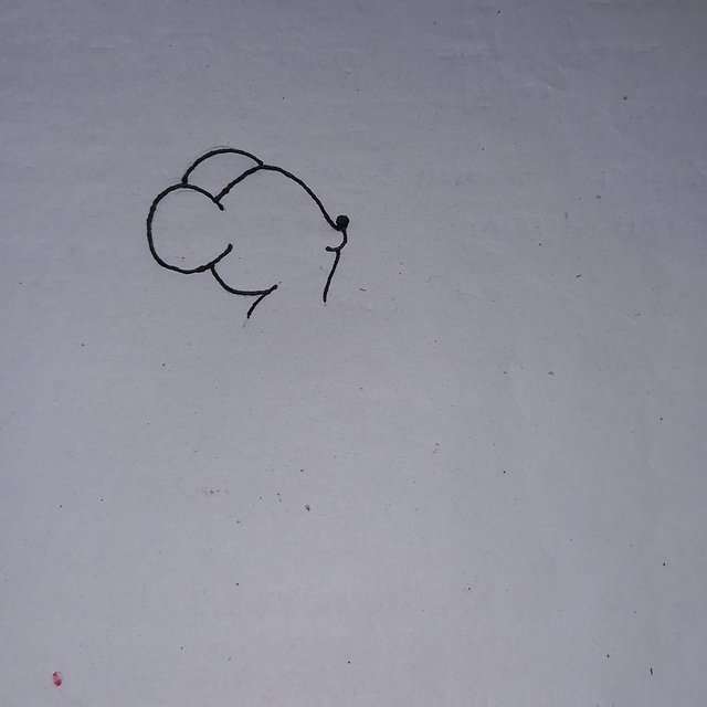 20250925_111238.jpg