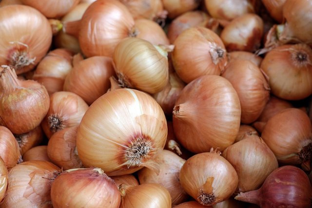onions-1397037_1920.jpg