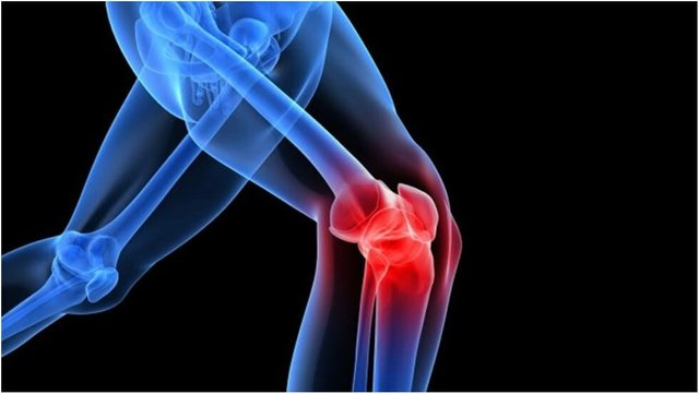 stem-cells-treatment-for-knee.jpg