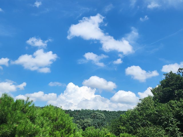 1000043771.jpg