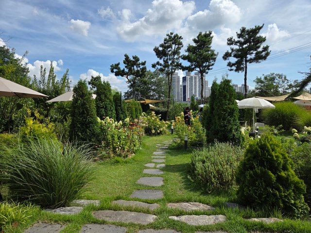 20250820_145628.jpg