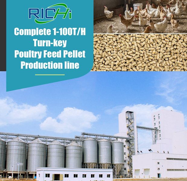 chicken feed manufacturing plant.jpg