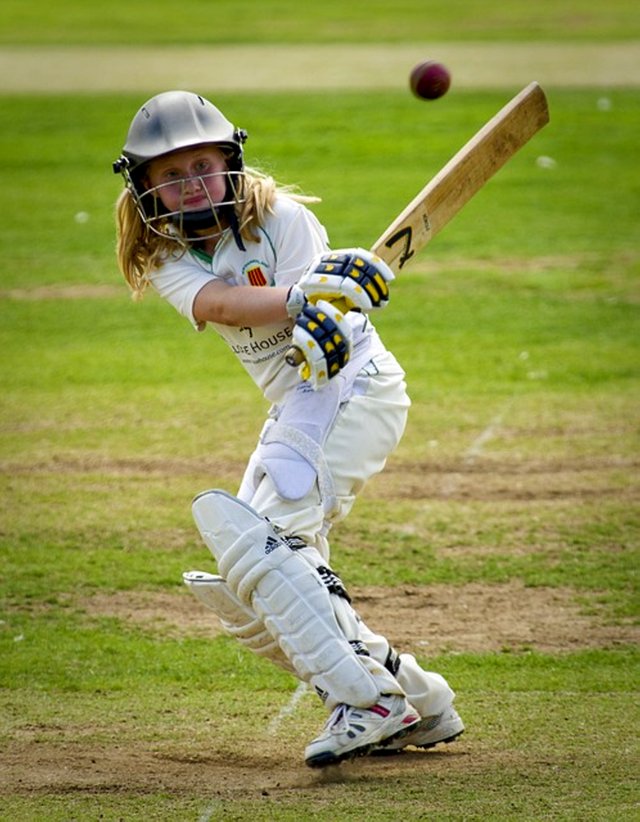 cricket-724621_640.jpg