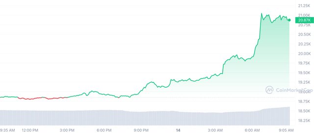 BTC_1D_graph_coinmarketcap.jpeg