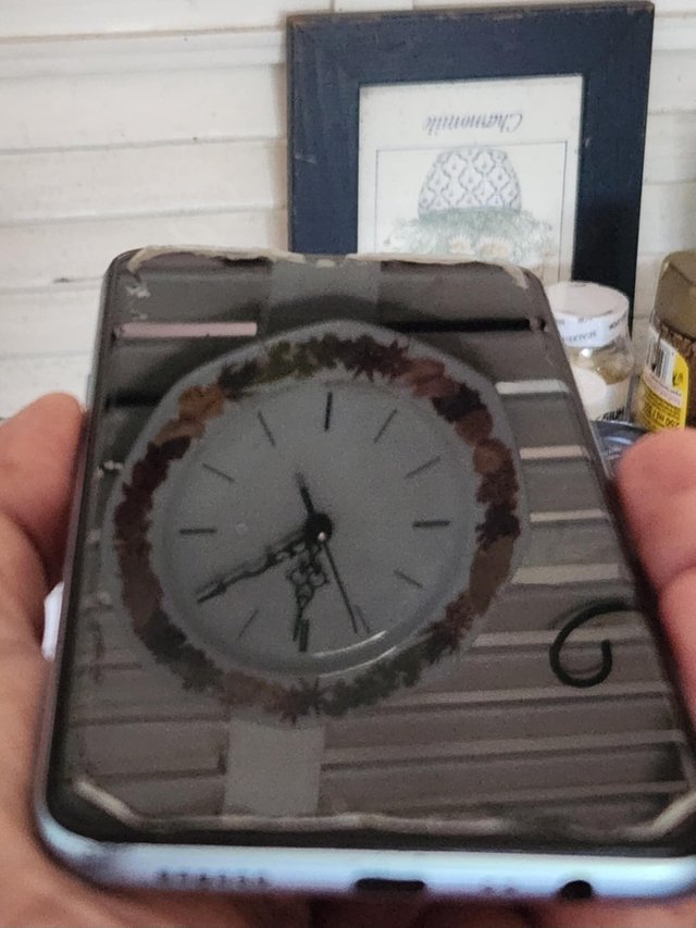 1000015822.jpg
