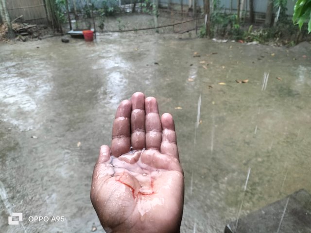 IMG20250421082610.jpg