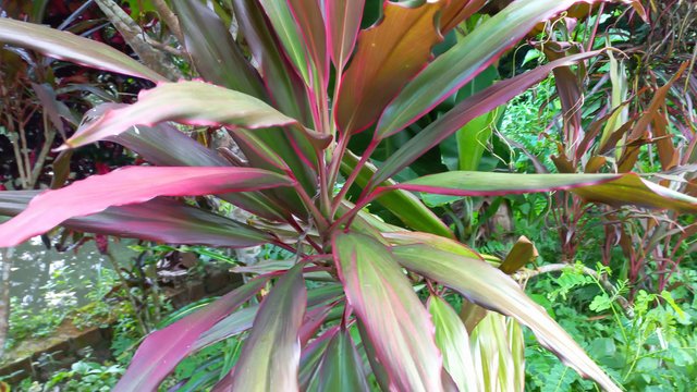 20220926_111158.jpg