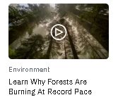 eco0.PNG