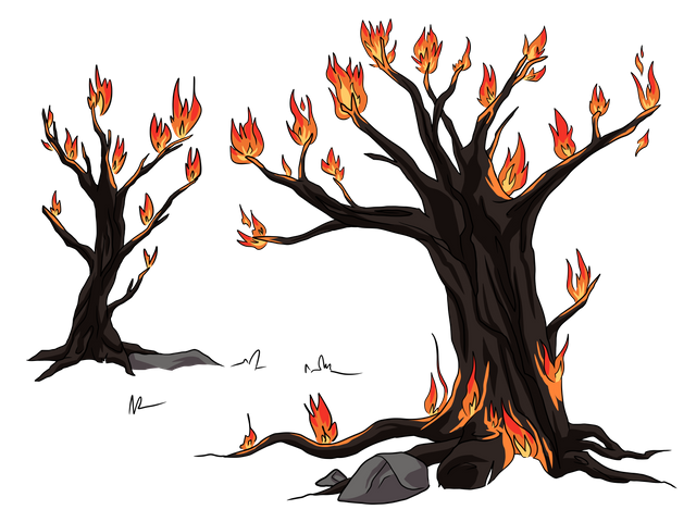 Everburning trees.png