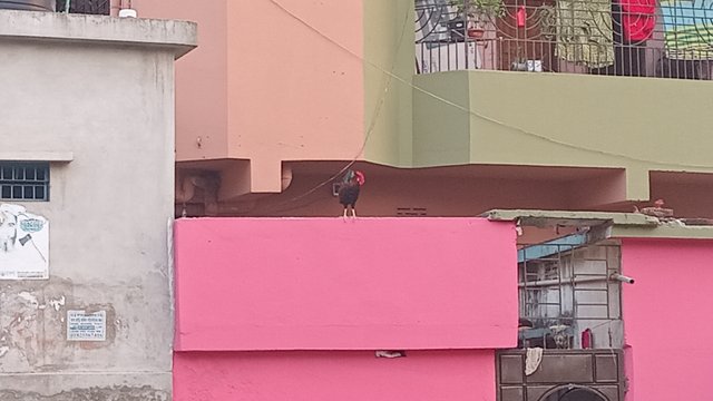 20250609_181615.jpg