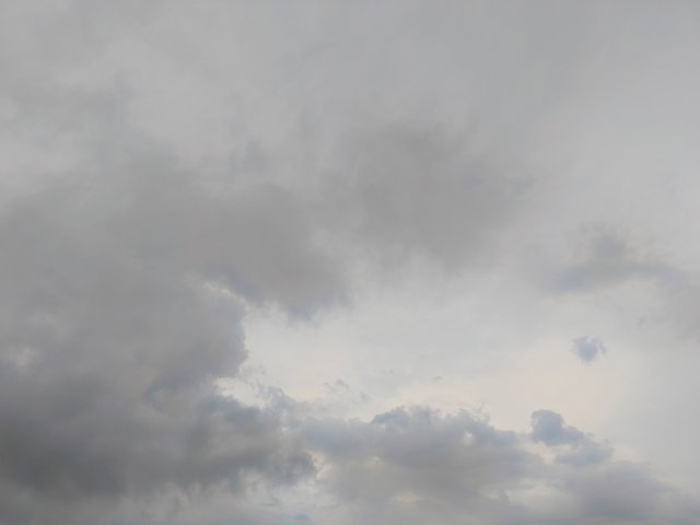 1000092447.jpg