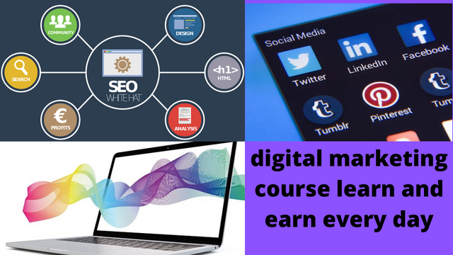 digital marketing course learns and earn every day. png