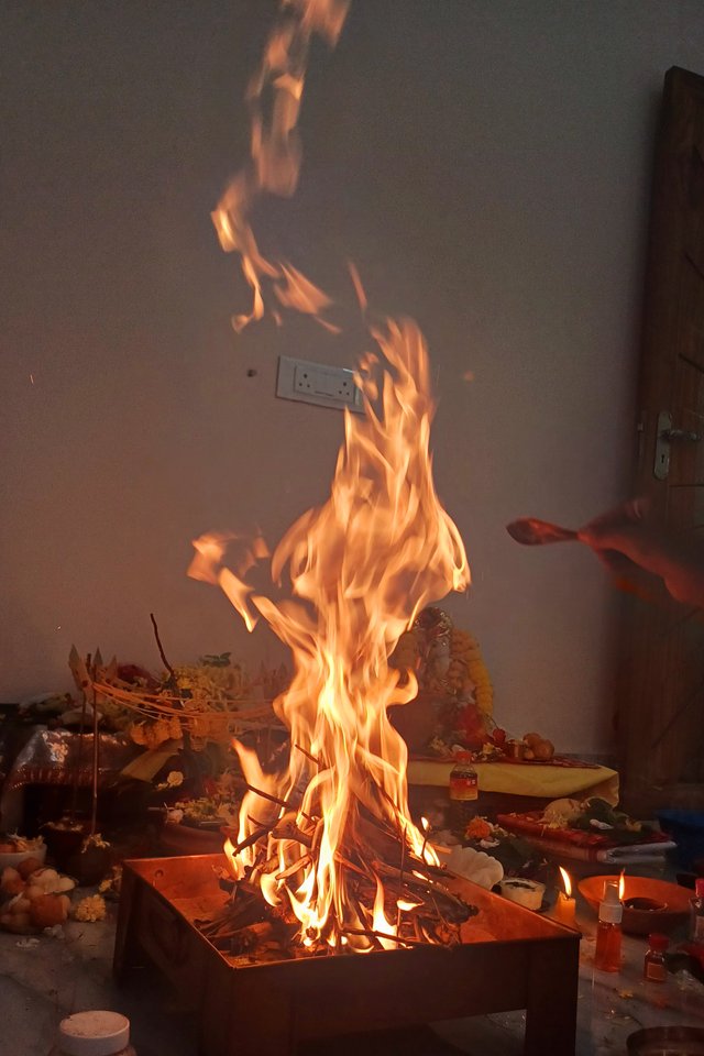 20250512_120755.jpg