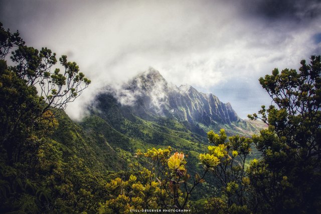 KAUAI2.jpg