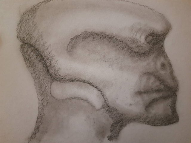 20250606_105039.jpg