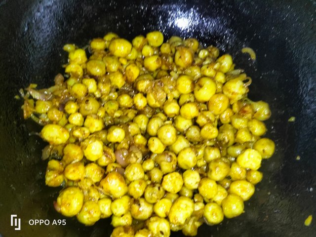 IMG20250515132802.jpg