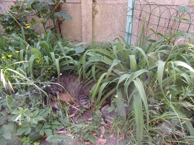 100_2666.JPG