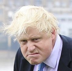 f0c9dfd506bedf824e1ecc413ed86bbf--boris-johnson-hair-angela-merkel.jpg