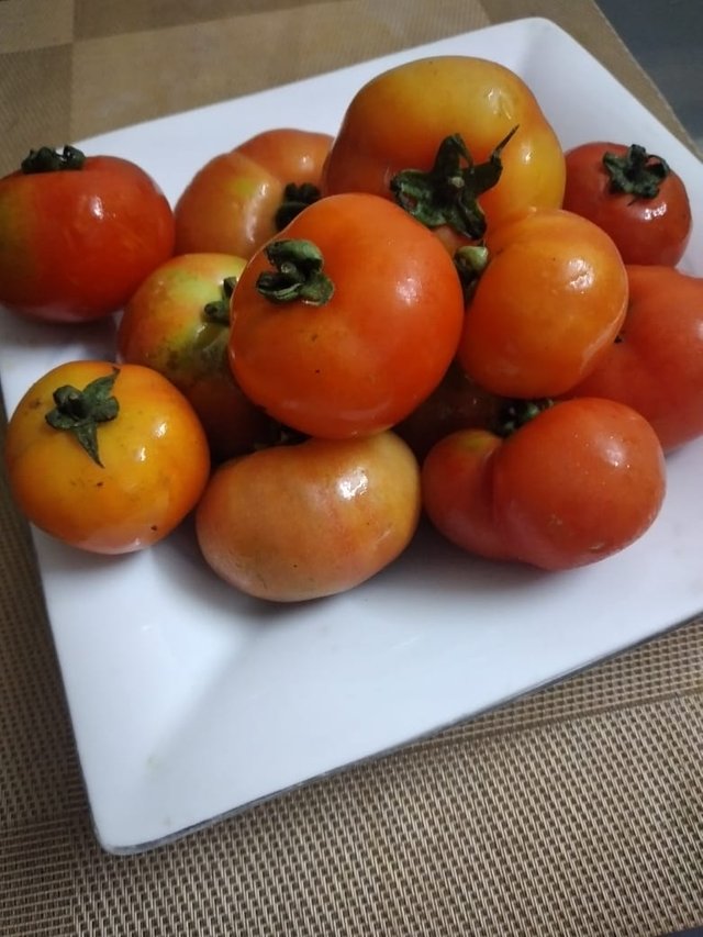 WhatsApp Image 2023-03-23 at 10.21.06 AM (1).jpeg