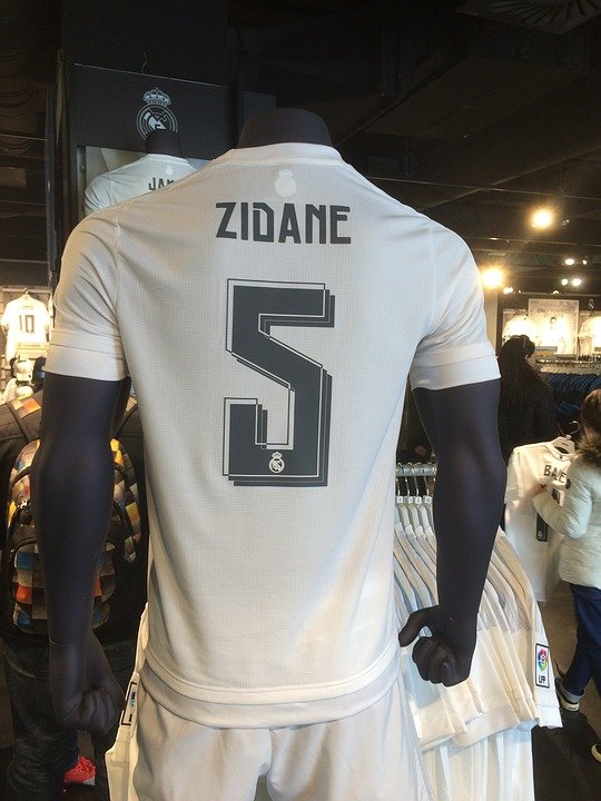 zidane-1572124_960_720.jpg