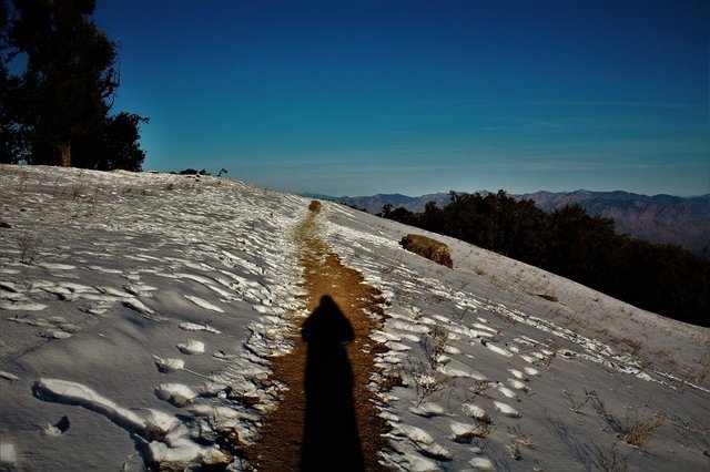 my-shadow-on-Nag-Tibba-Trek4.jpg