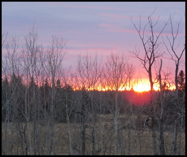 a blaze of a setting sun pink in the sky.JPG