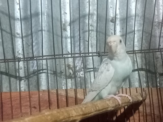 IMG20250422205352.jpg