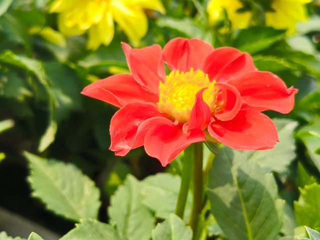IMG20250122111829.jpg