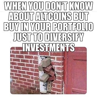 Diversify Crypto Coins.JPG