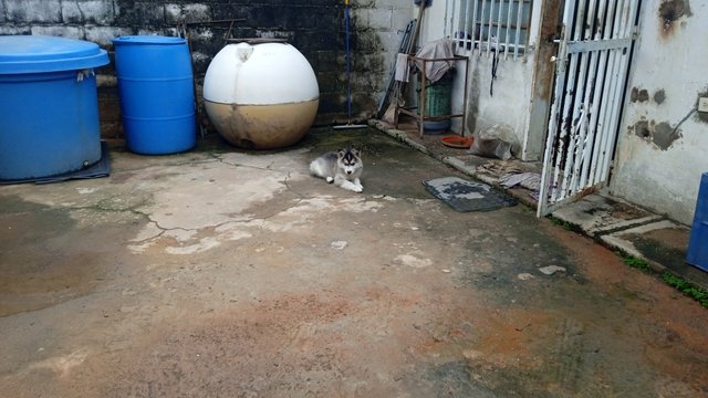 IMG_20250718_162458.jpg