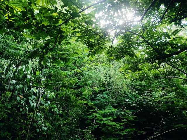 IMG_20250608_170143_180 (1).jpg