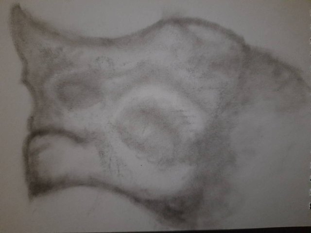 20250720_091444.jpg