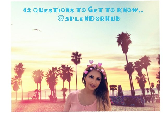 @splendorhub 12 questions.JPG