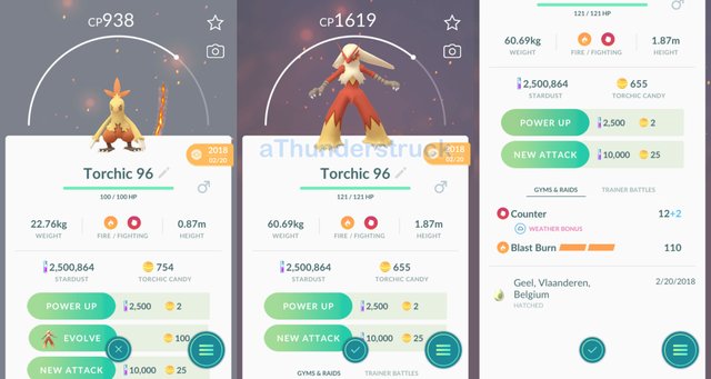 Blast Burn Blaziken.jpg