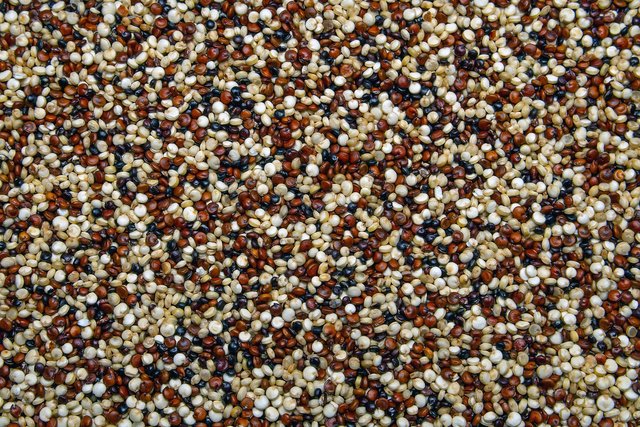 quinoa-seeds-g75e577197_1920.jpg