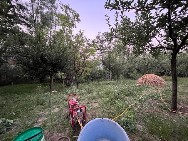 IMG_3972.jpeg