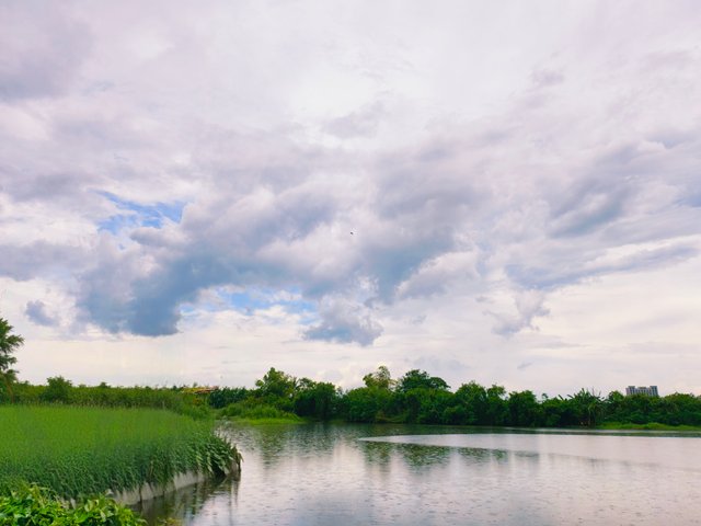 IMG_20250807_095452.jpg
